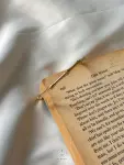 1738858640_o0006.jpg