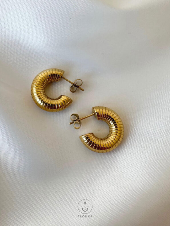 circle zibra earrings