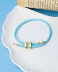 baby blue hermes bangle