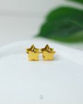 gold star earrings