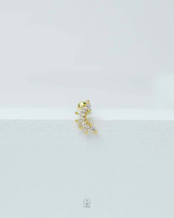 curvy staurs piercing