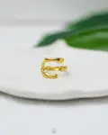 1745690019_r0658.jpg