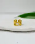 1745693471_r0667.jpg