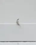 strus moon piercing