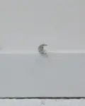 strus crescent piercing