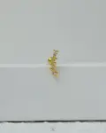 golden arrow piercing
