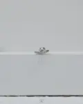 silver double stars strus piercing
