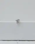 quarter strus flower piercing
