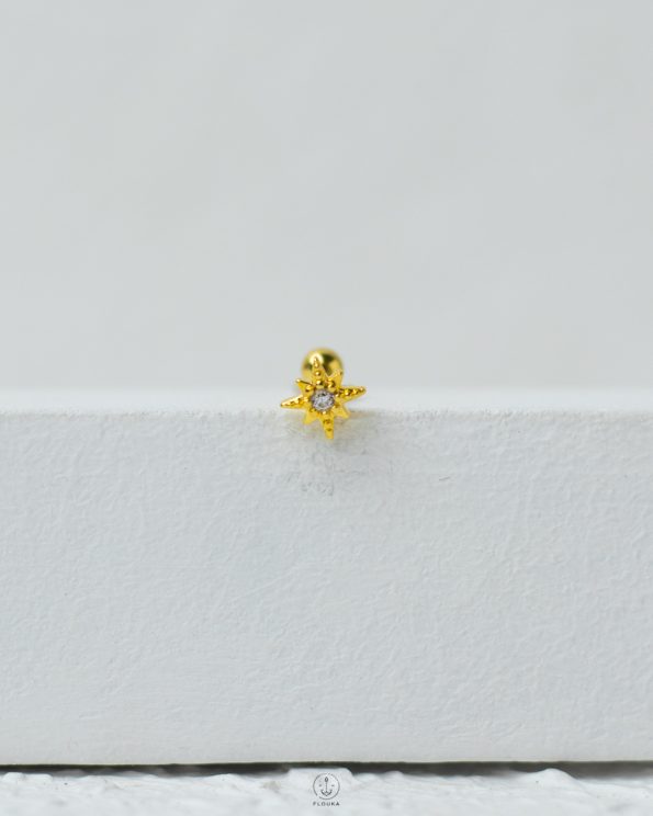 quarter strus flower piercing (copy)