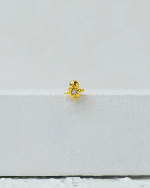 quarter strus flower piercing (copy)