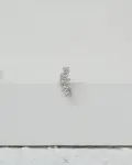 1746297980_c0064.jpg