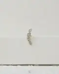 1746300486_c0086.jpg