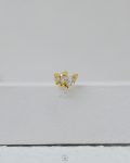 golden crown piercing