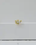 golden crown piercing