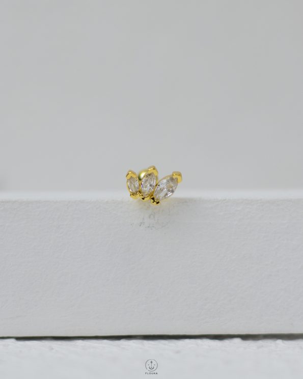 golden crown piercing