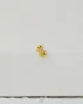 spacestar gold piercing