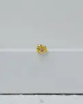 gold camera piercing
