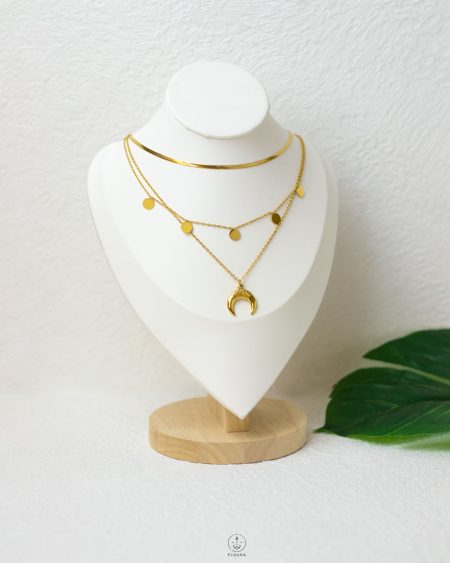 double layers snake and coins cresent necklace