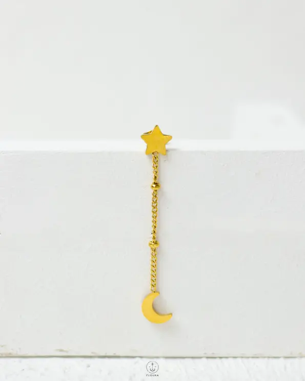 star & cresent set earrings