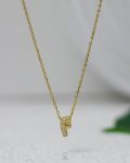 litter F gold necklace