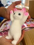 Squishy Cat